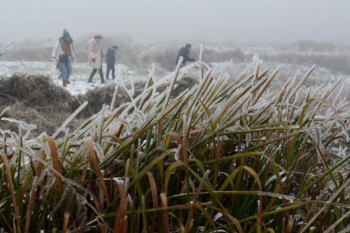 จีนเตือนประชาชนรับมือหนาวสุดในรอบ10ปี-บางแห่งติดลบ12องศา