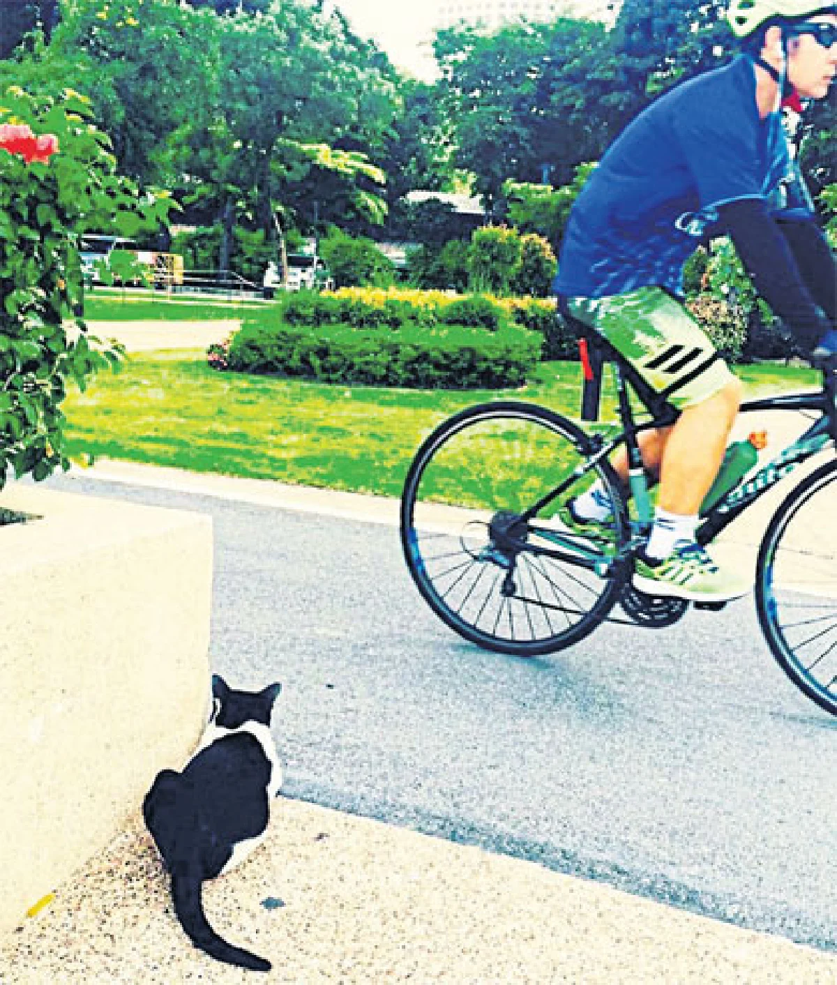 ต่างฤดูกาล