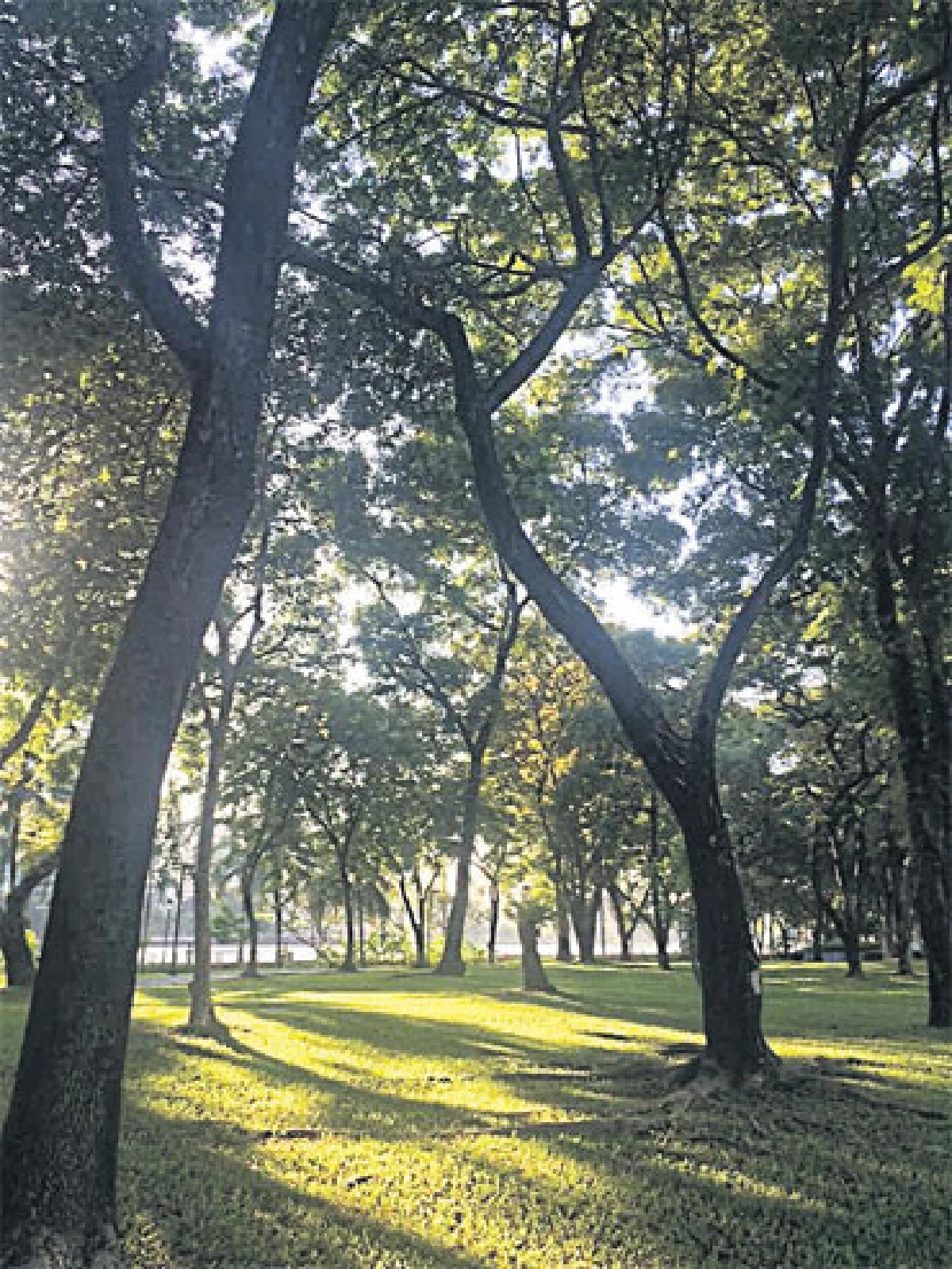 ต่างฤดูกาล