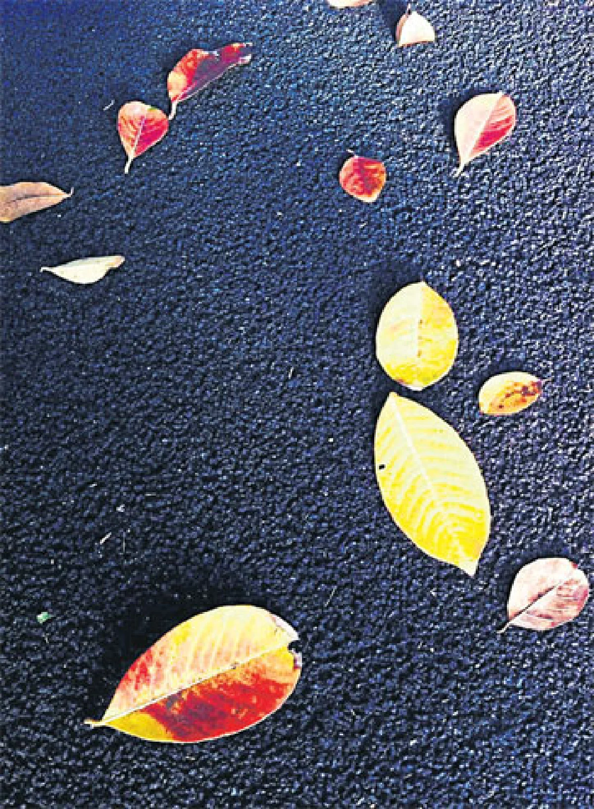 ต่างฤดูกาล