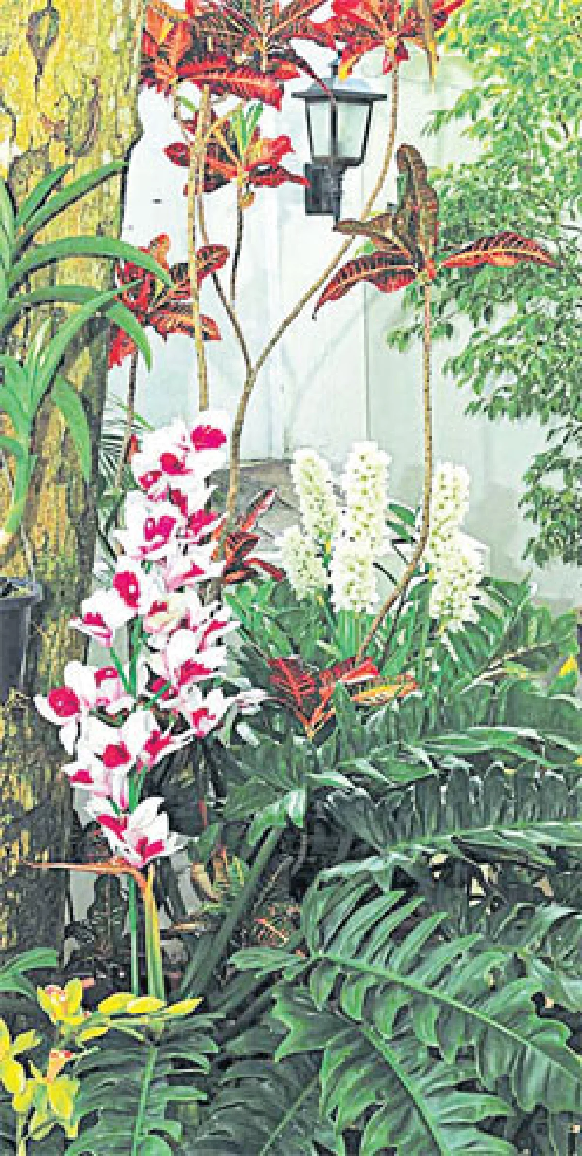 สวนแขวน... สวนสวยริมชายคา