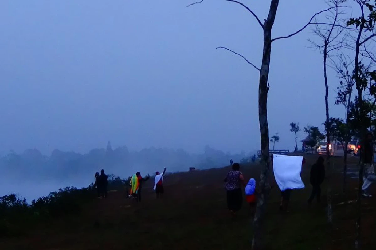 เขาใหญ่หนาวมาก! อุณหภูมิลดเหลือ10องศา