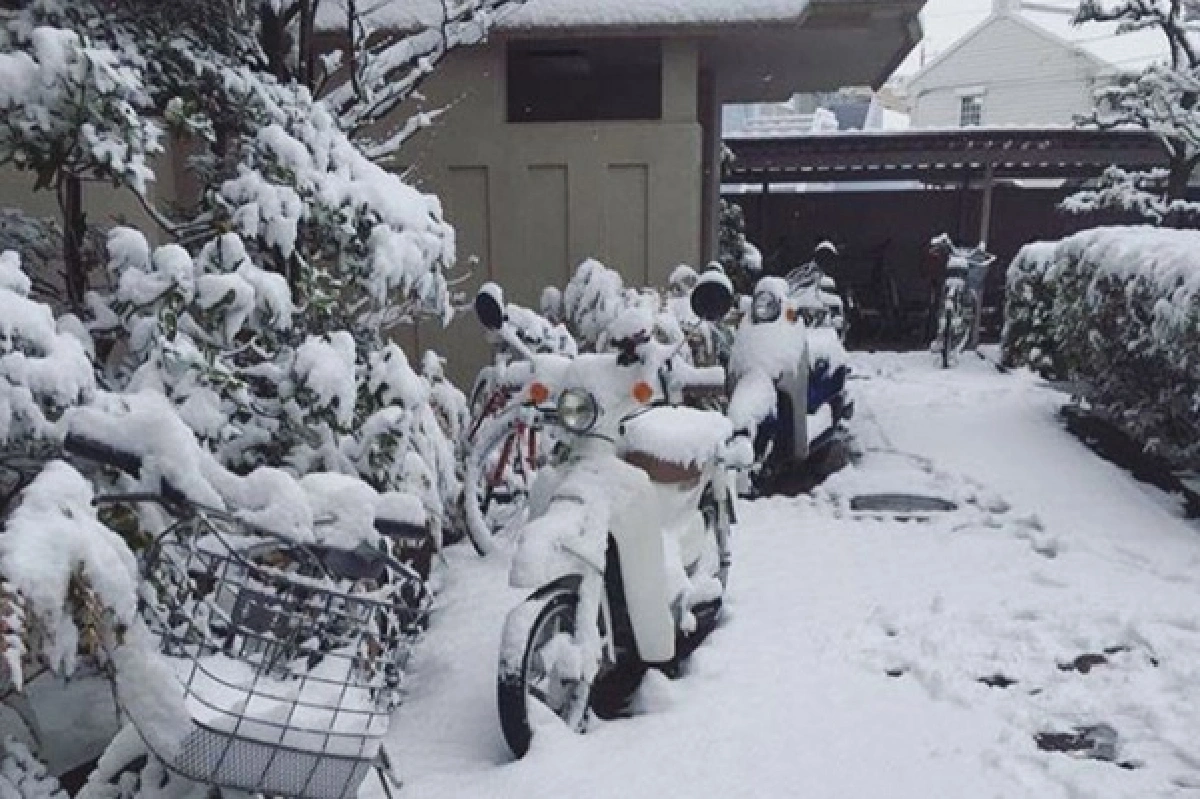 เอเชียหนาวทุบสถิติ! หิมะตกถึงอาเซียน