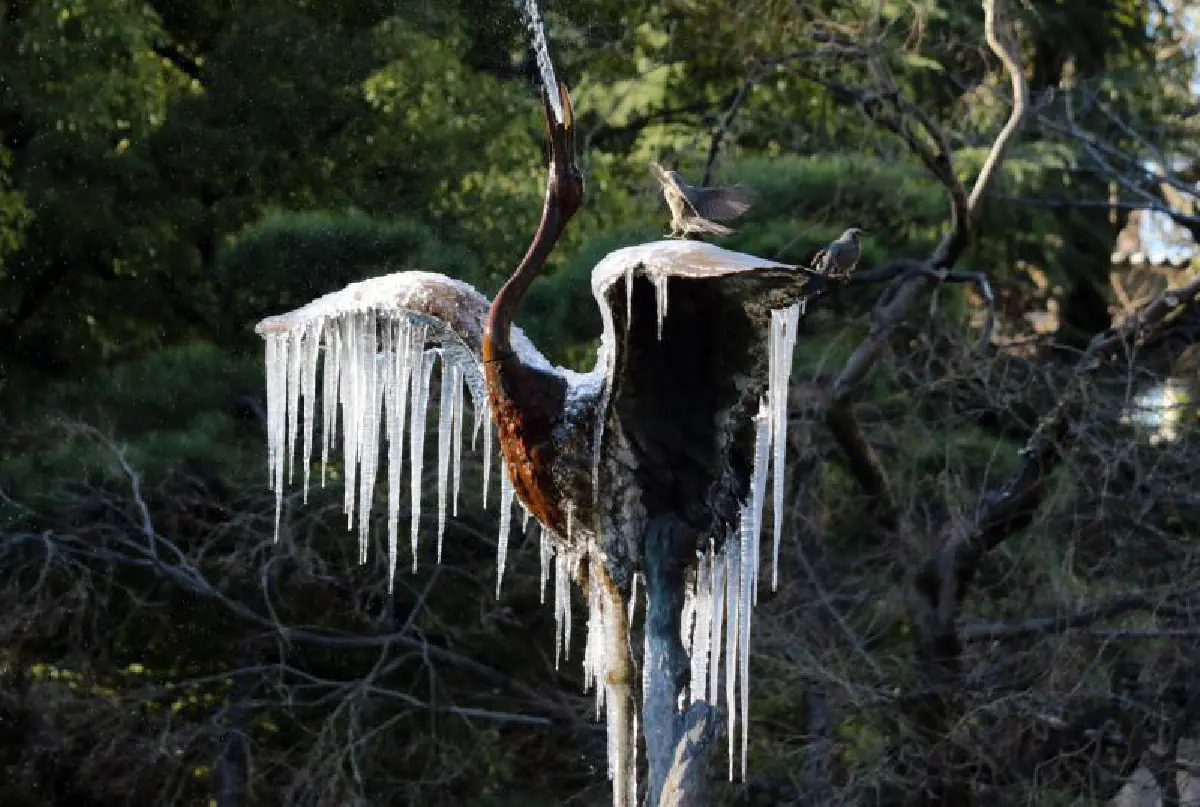 Global warming takes a short break