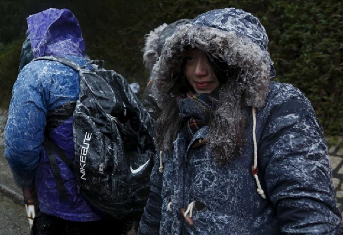 Global warming takes a short break