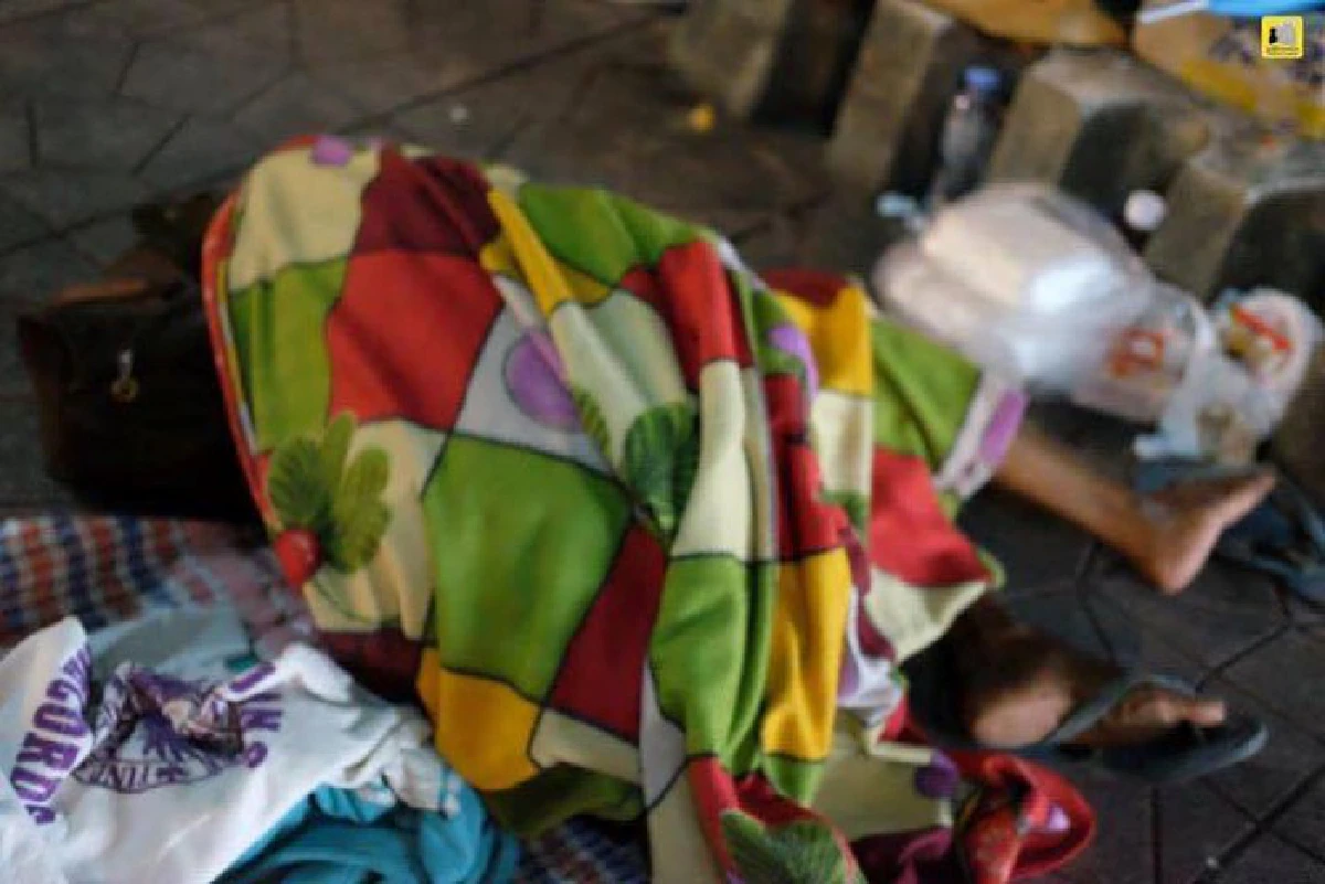 หนาวนี้...ขอความอบอุ่นให้ "คนไร้บ้าน-หมาจรจัด"