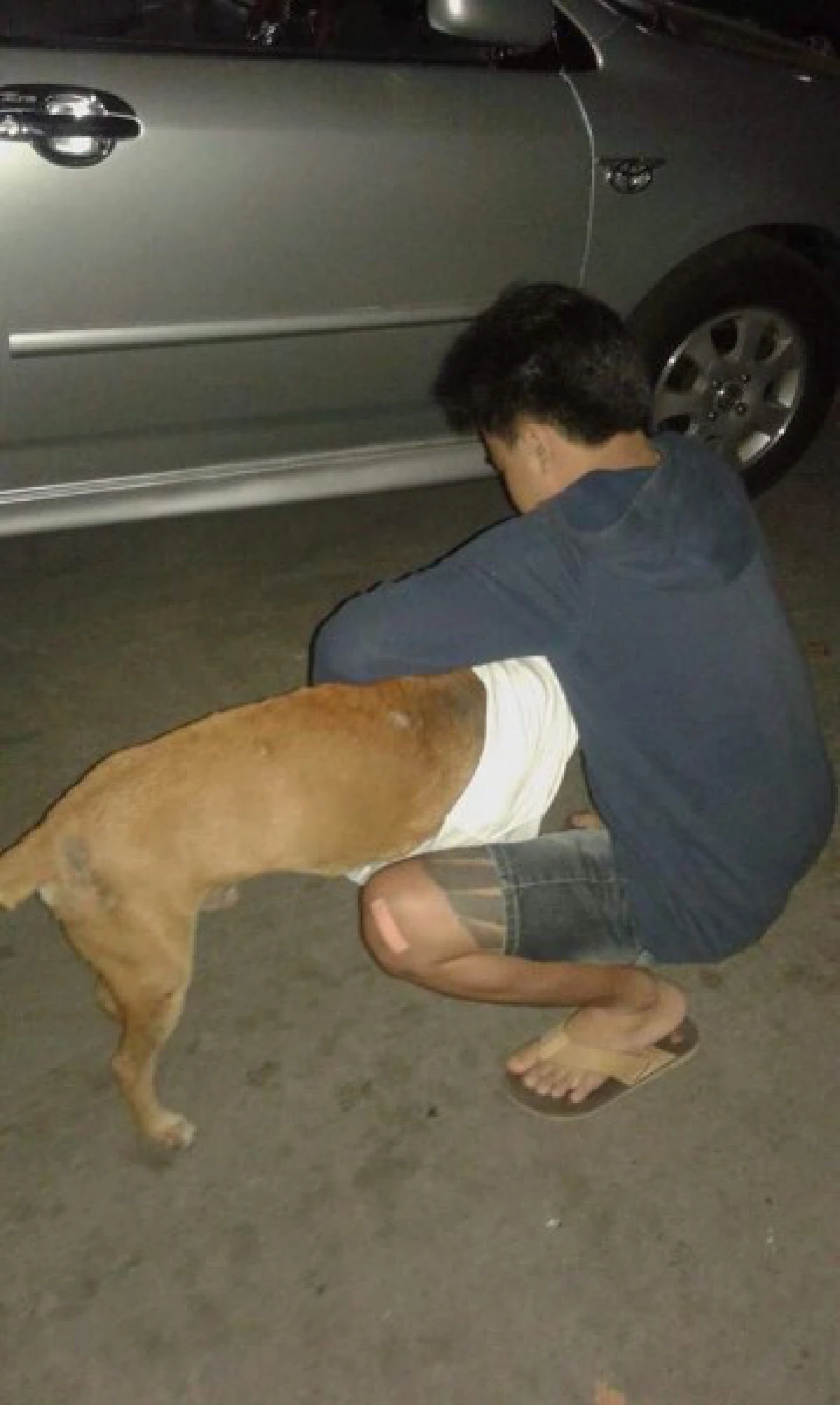 หนาวนี้...ขอความอบอุ่นให้ "คนไร้บ้าน-หมาจรจัด"