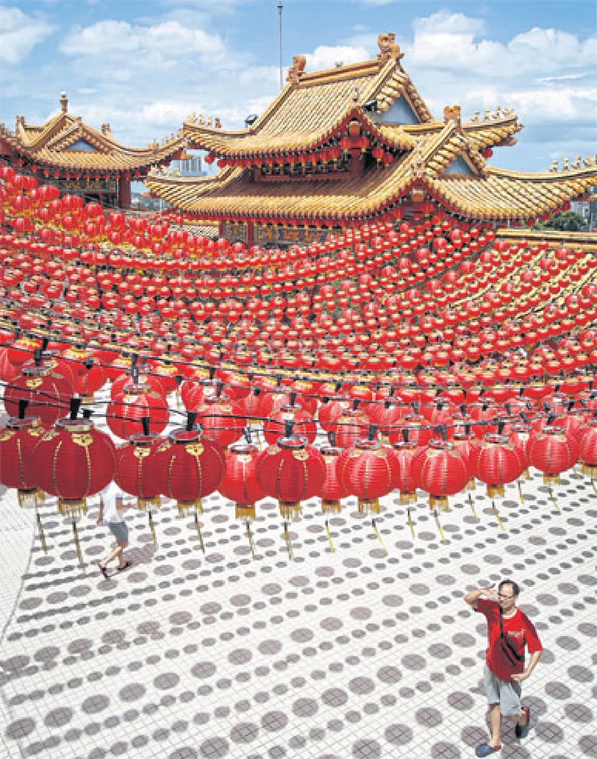 ลิงมาแล้ว