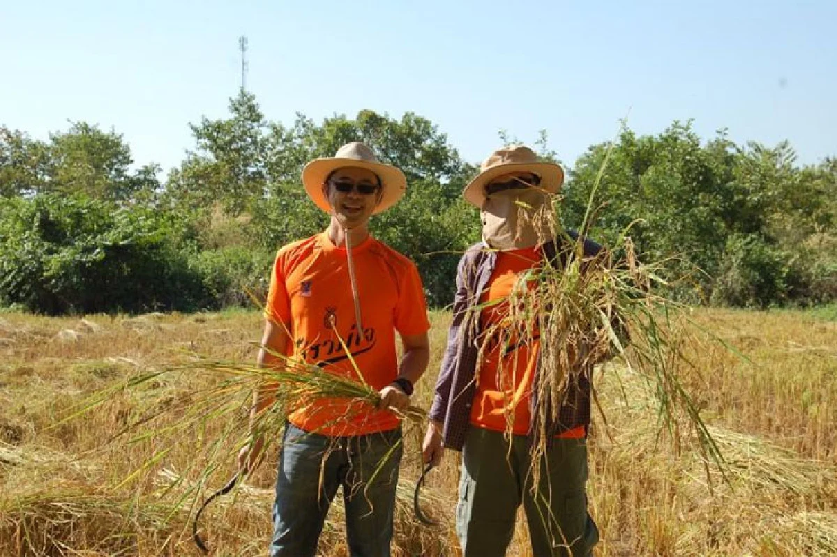 อิ่มอร่อย ปลอดภัยกับข้าวใส่ใจ
