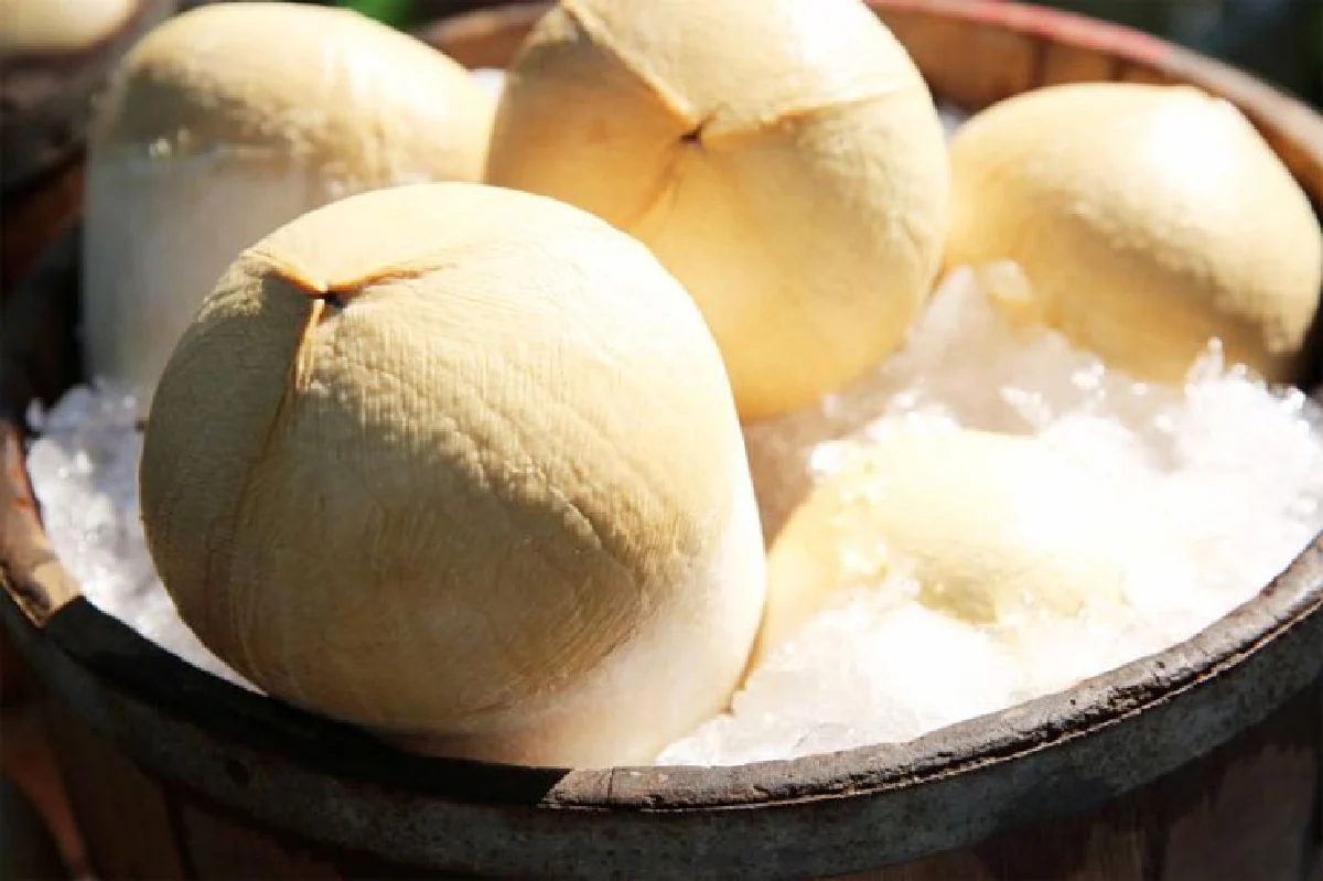 เจาะ 'สวนมะพร้าวน้ำหอม' ผลไม้ดาวรุ่งพยุงเศรษฐกิจ