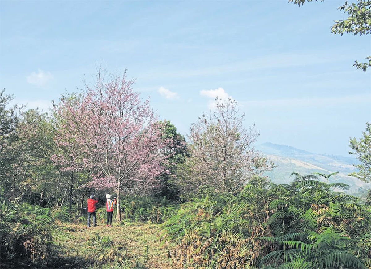 วาเลนไทน์ ครั้งสุดท้ายภูลมโล