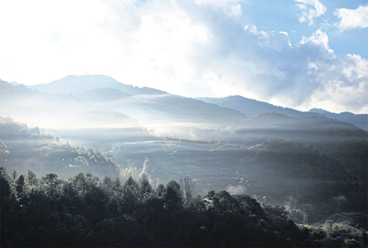 ทริปนี้โนแพลน การเดินทางครั้งใหม่ของ พิมพ์เลิศ ใบหยก