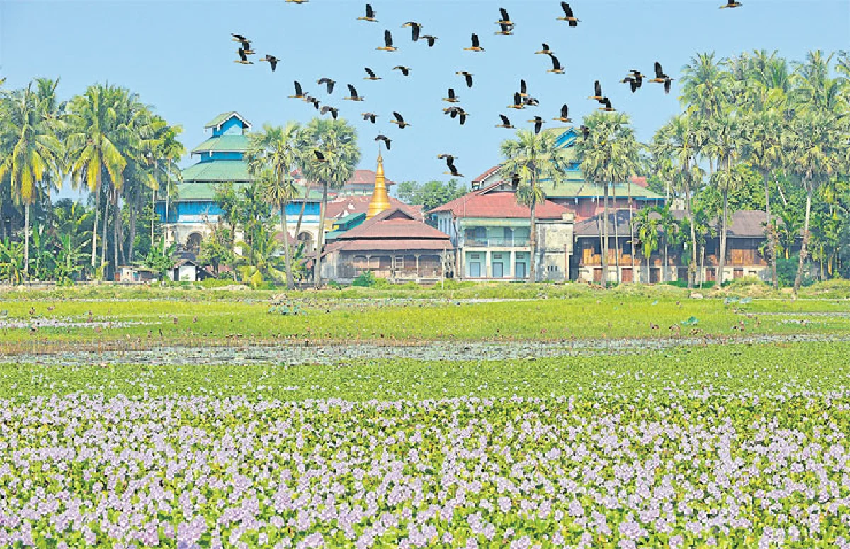 เที่ยวมะริด หลายมิติที่สัมผัสได้