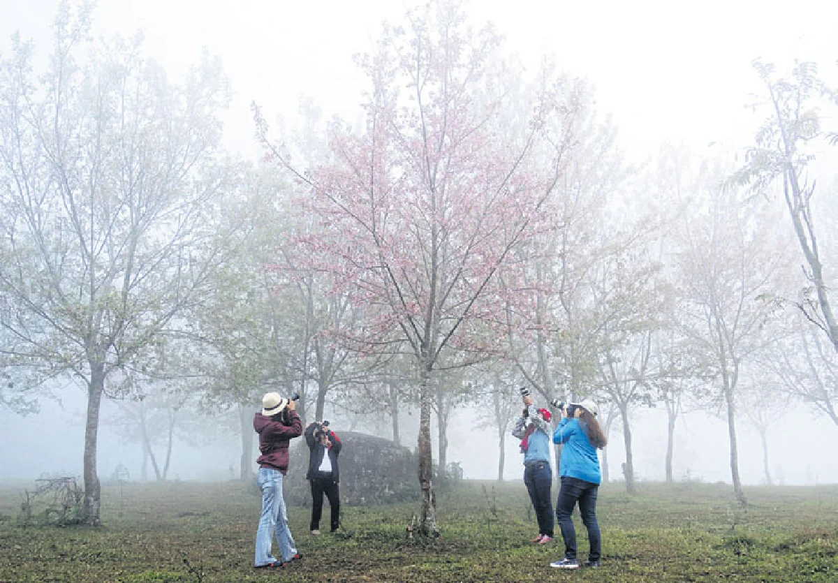 วาเลนไทน์ ครั้งสุดท้ายภูลมโล
