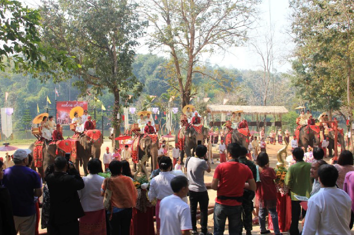 ลำปางจัดแต่งงานบนหลังช้างคึกคัก