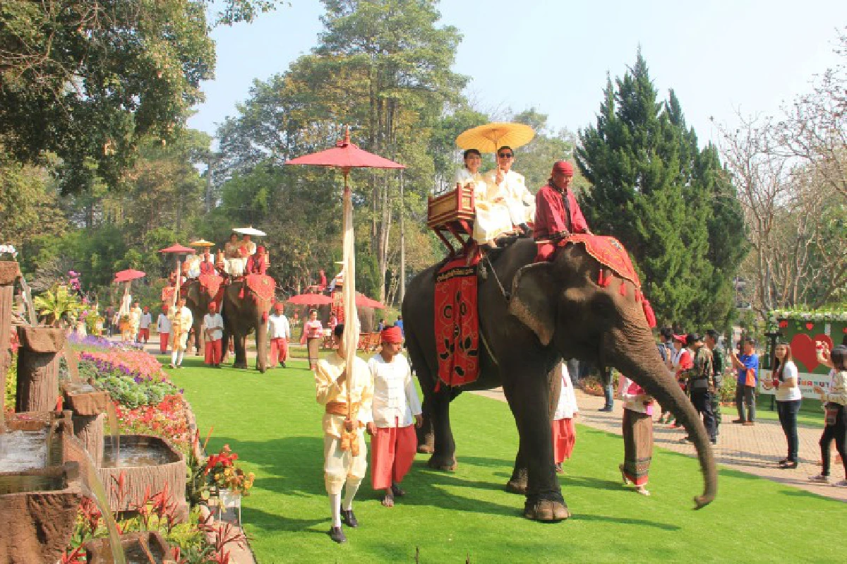 ลำปางจัดแต่งงานบนหลังช้างคึกคัก