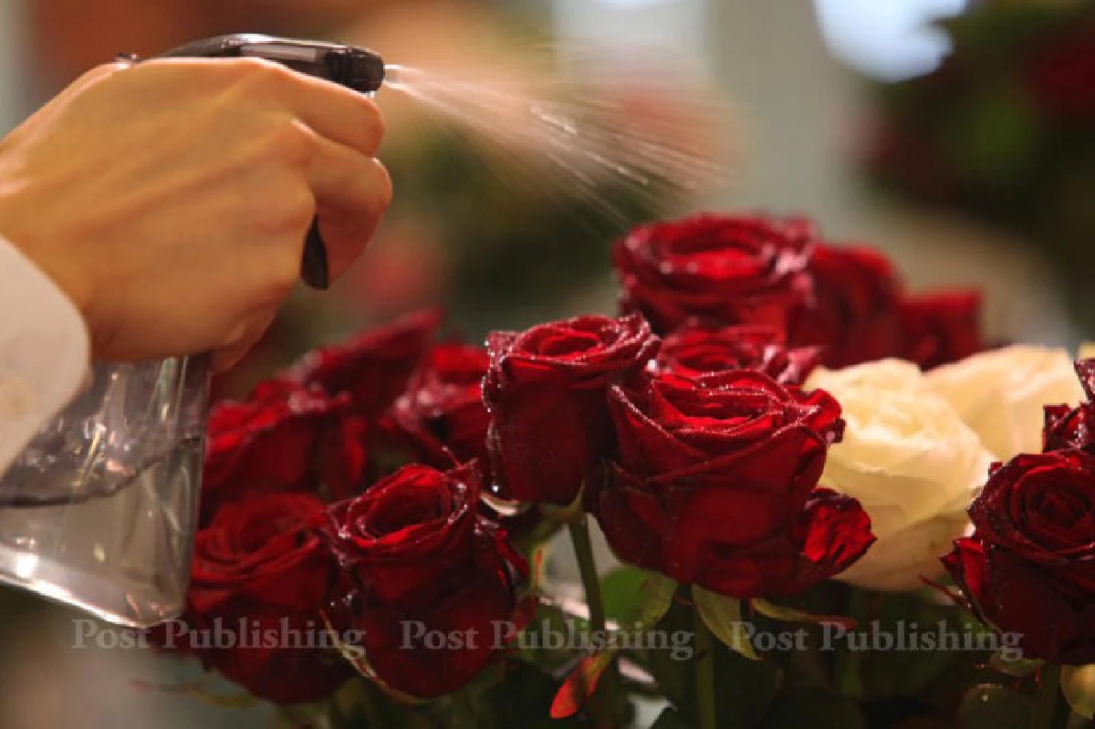 แอดเวนเจอร์ฮอต พิสูจน์รักวาเลนไทน์2016