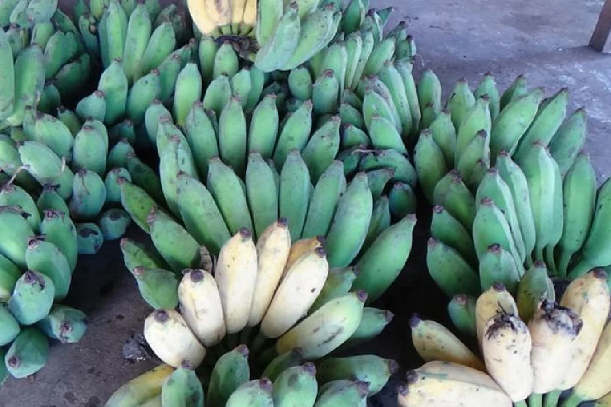 กล้วยทอดป้าเชียงราย อร่อยถูกปาก...ปลอดภัย