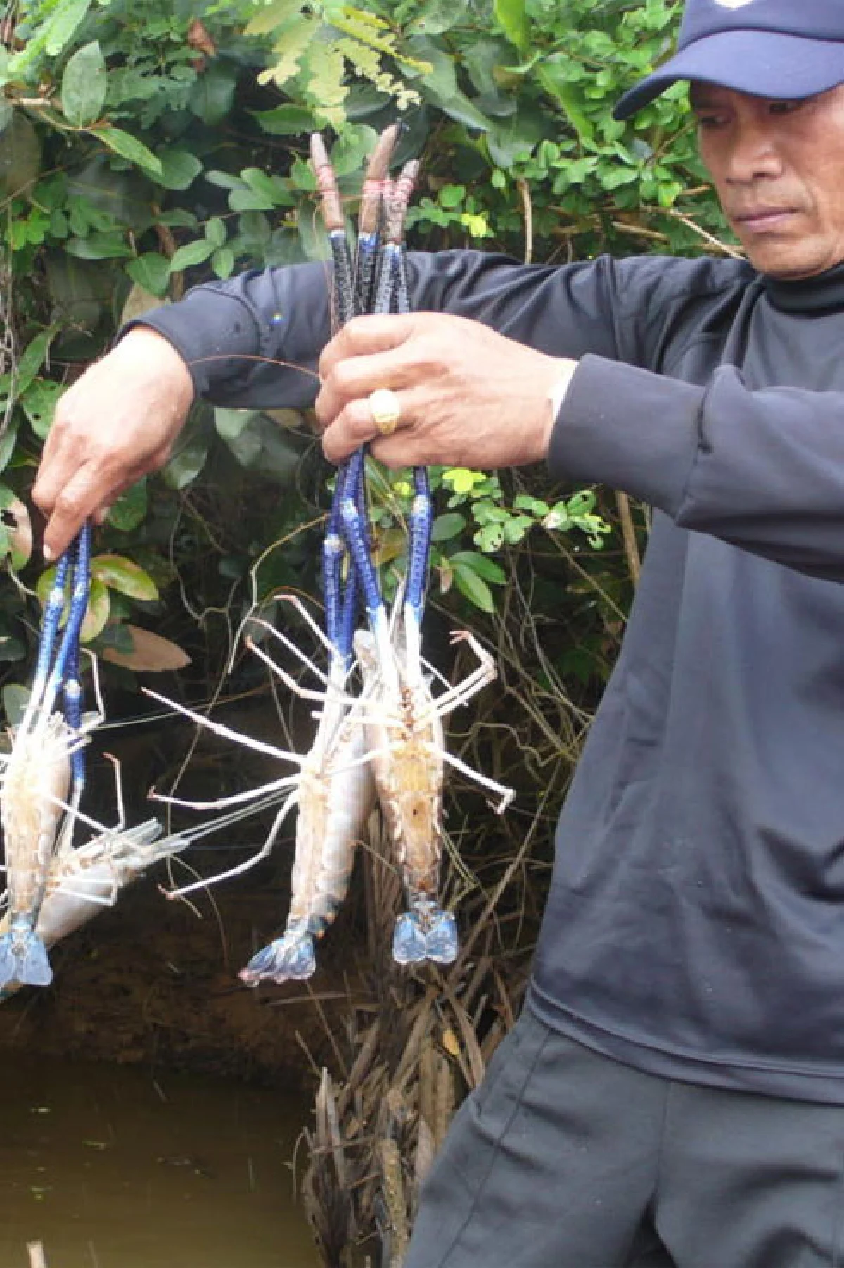 เที่ยวแม่น้ำตราดกินกุ้งก้ามกราม