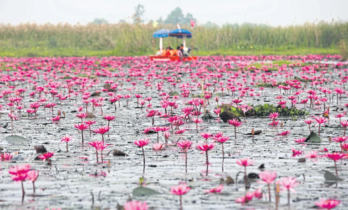 ลองเล่นเลนส์รีเฟล็กซ์