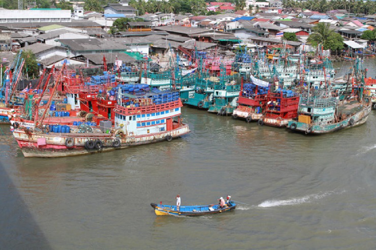 ขีดเส้น15วันยื่นขอทำประมง ขีดเส้น15วันยื่นขอทำประมง