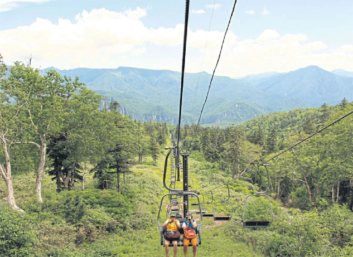 การเดินทางของเธอและเธอ แวววรรณ-วรรณแวว หงษ์วิวัฒน์