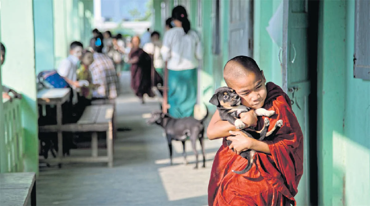 มาฆปูรณมีบูชา