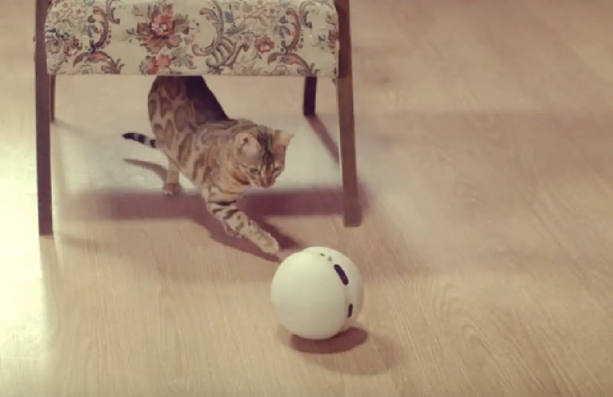 ไม่น้อยหน้า!เปิดตัว LG G5 ถอดเปลี่ยนชิ้นส่วนได้หลากหลาย (ชมคลิป)