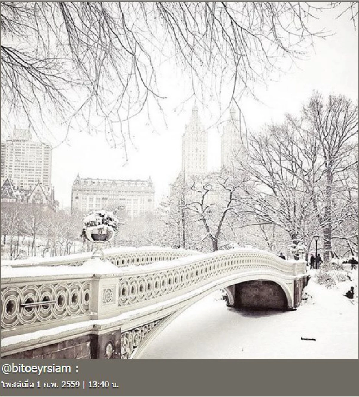 ใบเตย อาร์สยาม โป๊ะแตก! เจอฝรั่งทวงเครดิตรูปในไอจี