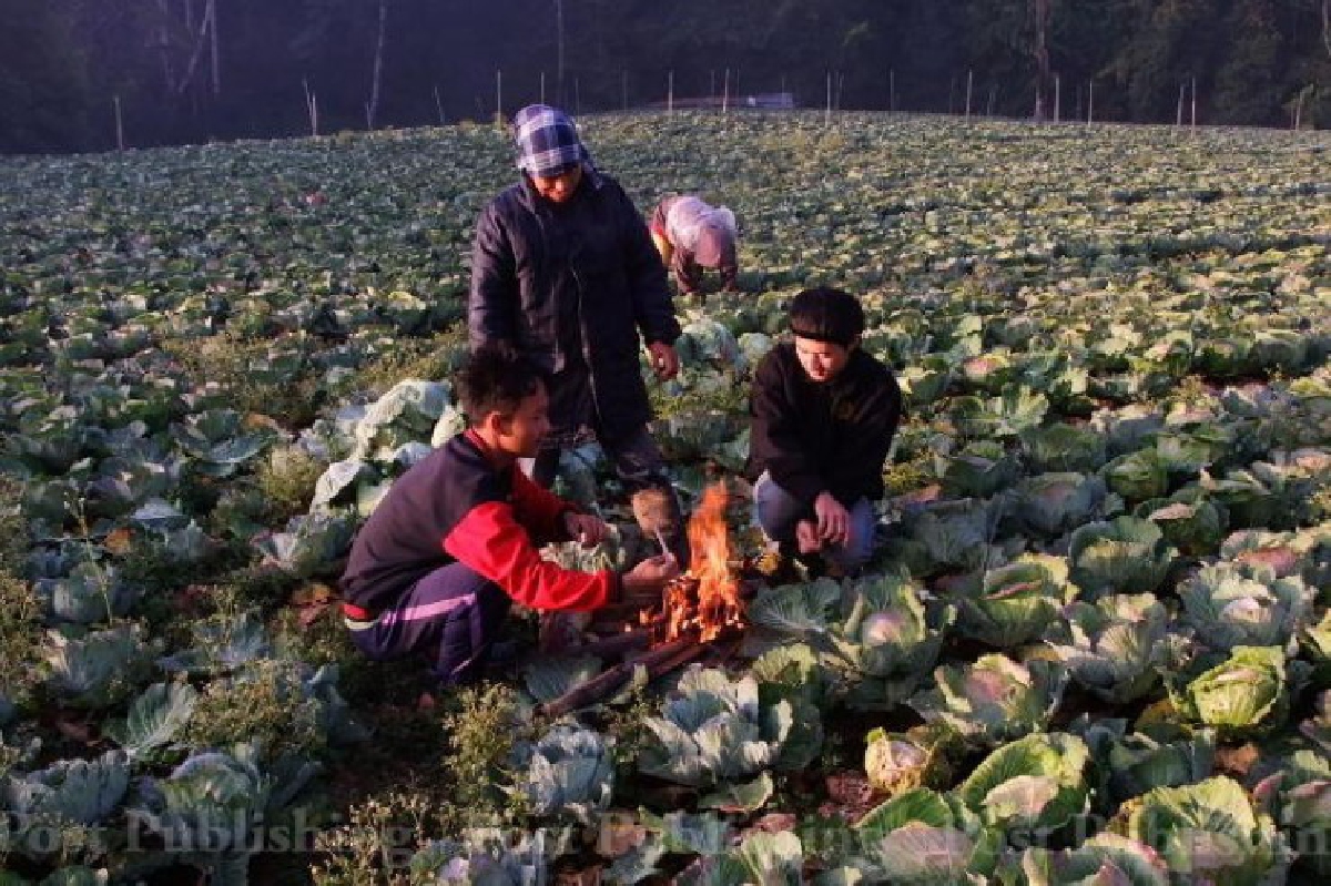 อุตุฯเผยไทยตอนบนอากาศเย็น-ลมแรง อุตุฯเผยไทยตอนบนอากาศเย็น-ลมแรง
