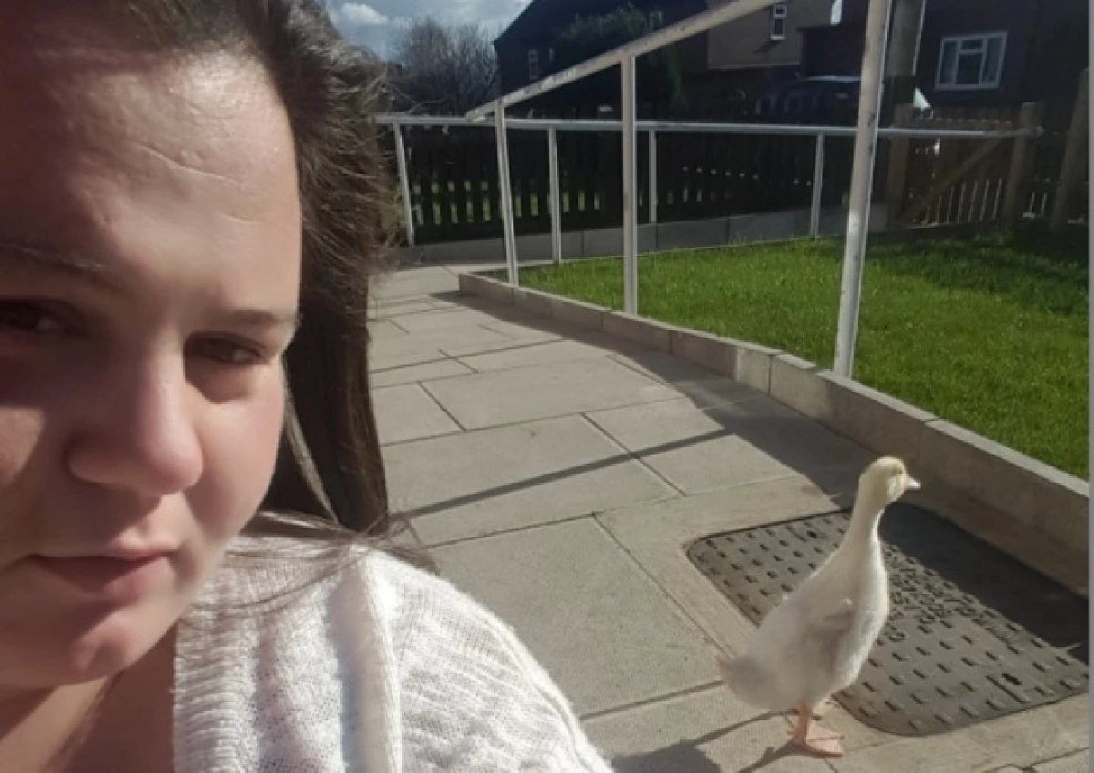 น่ารัก!เจ้าเป็ดน้อยติดเจ้าของ ตามไปทุกที่ไม่เว้นในผับ