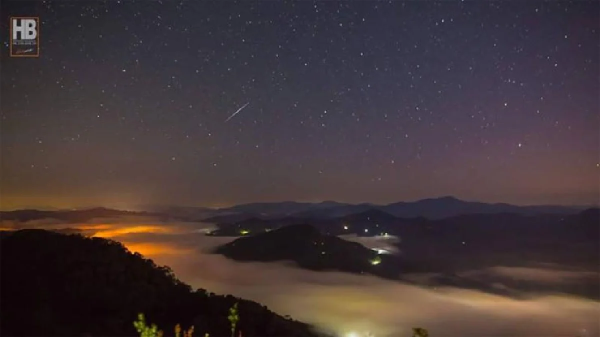 แบกเป้เที่ยวป่า