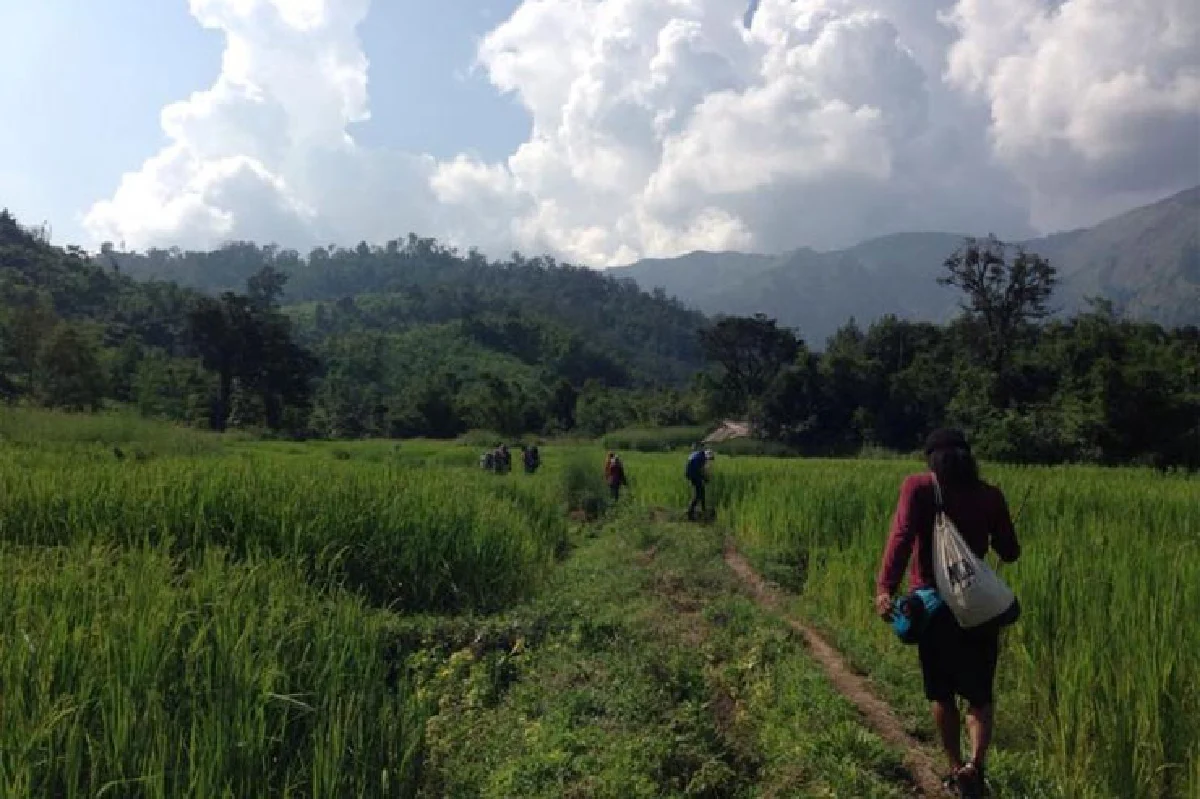 แบกเป้เที่ยวป่า