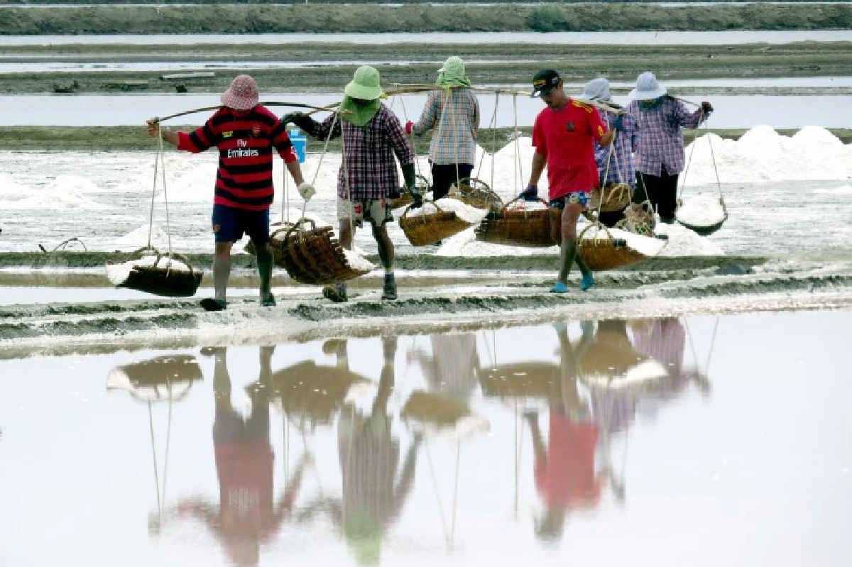 "เกลือจะหวาน...ก็งานเนี้ยะ" Art Of Salt แห่งเดียวในเมืองไทย