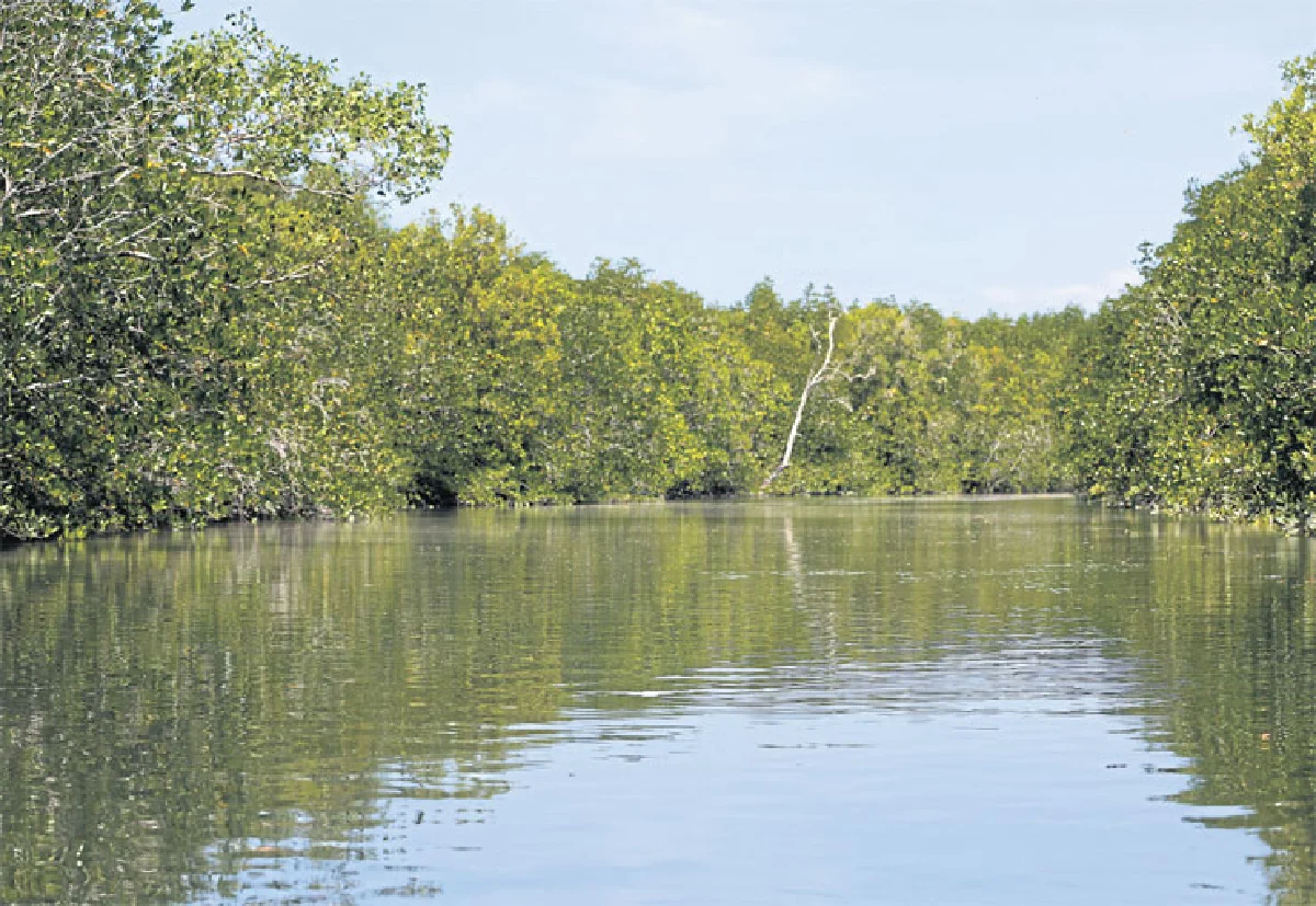 บ้านท่าดินแดง เที่ยวกรีน กินคลีน