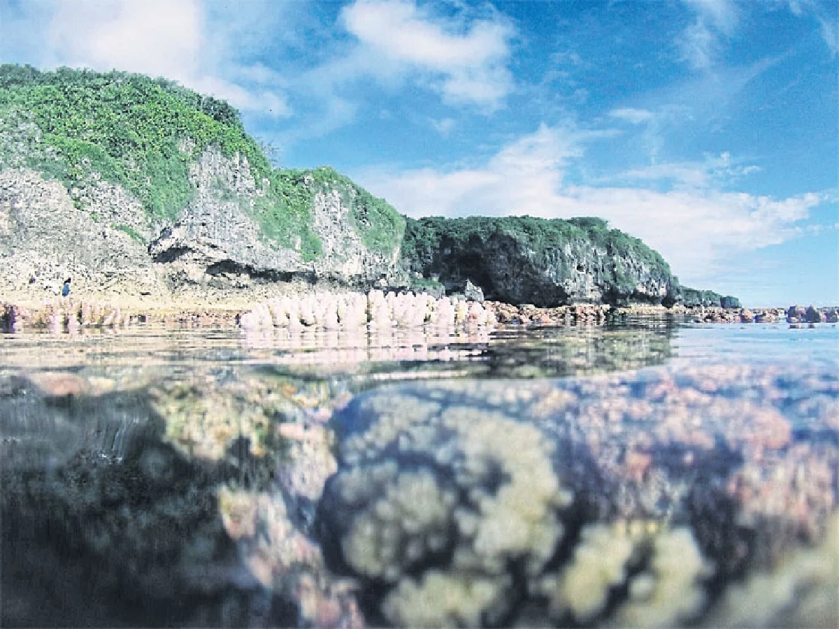 บอม เปล่งพานิช ชีวิตติดเดินทาง