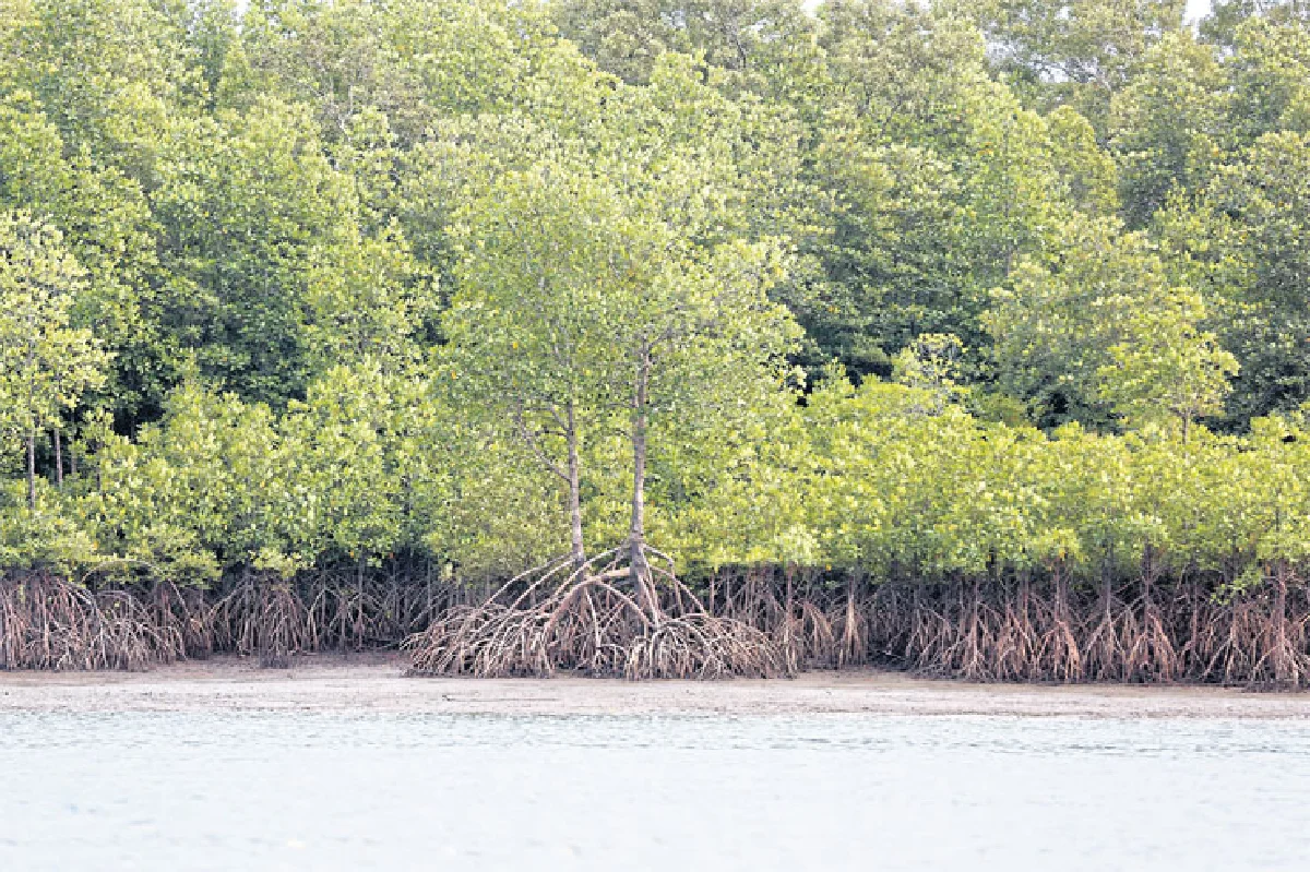 บ้านท่าดินแดง เที่ยวกรีน กินคลีน