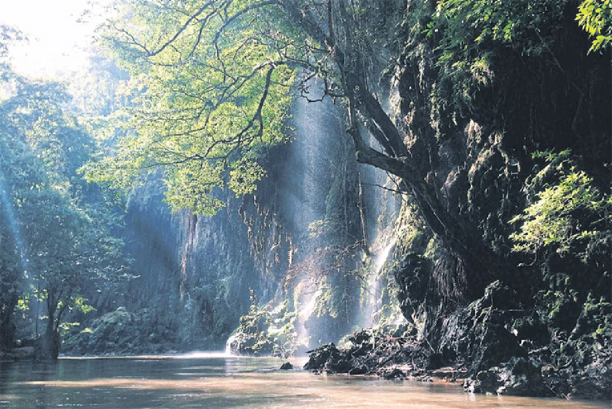 บอม เปล่งพานิช ชีวิตติดเดินทาง