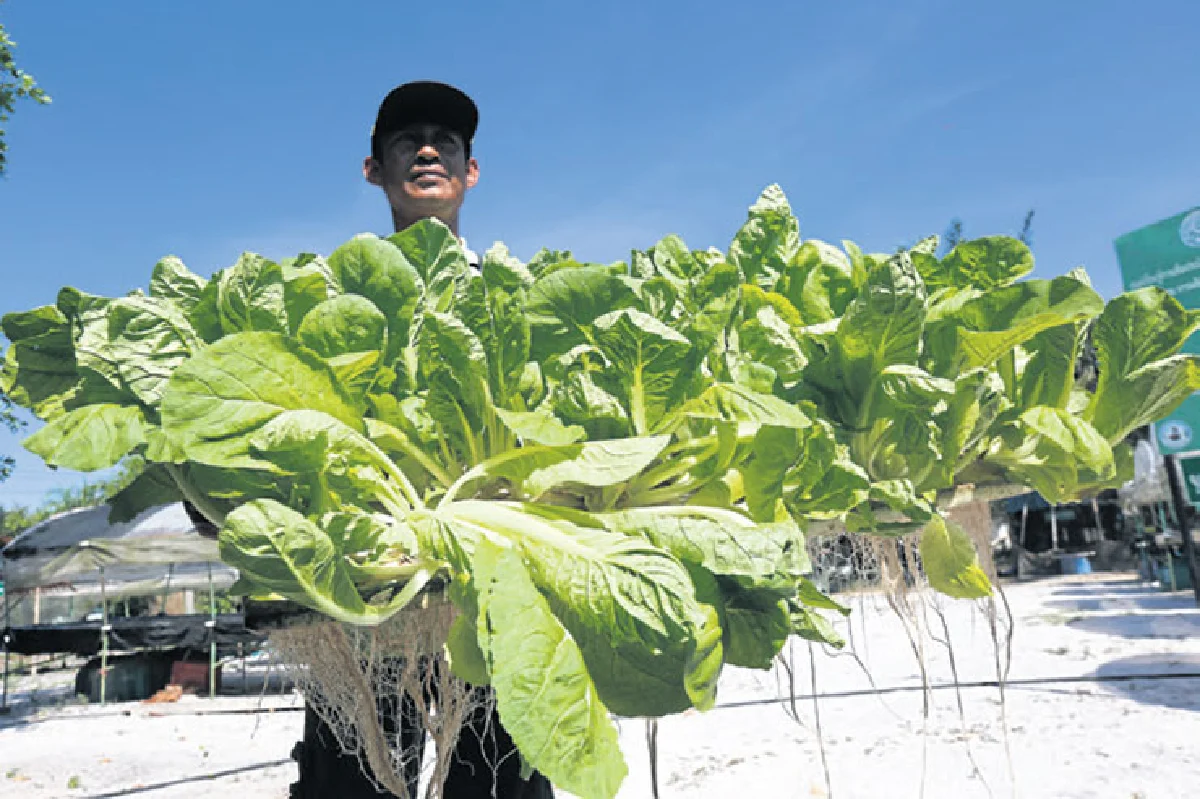 บ้านท่าดินแดง เที่ยวกรีน กินคลีน