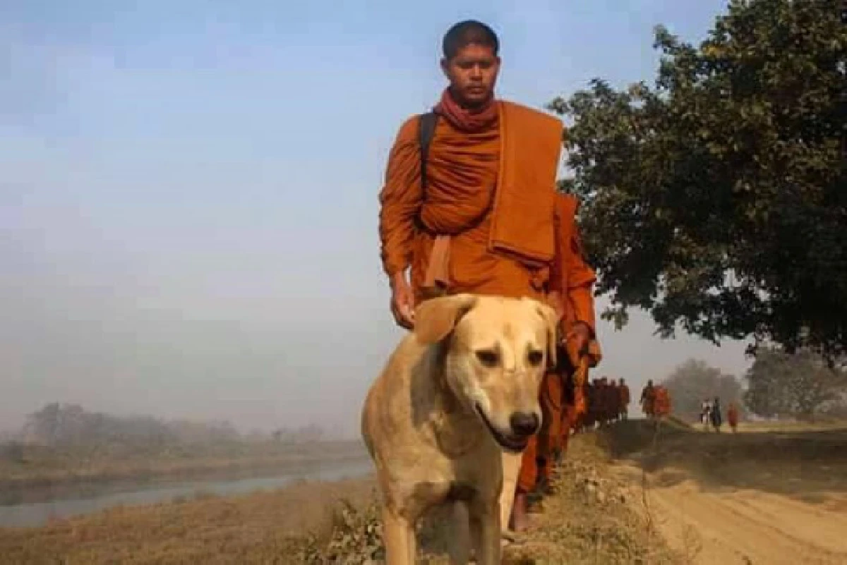 สุดซึ้ง! หมาจรจัดวิ่งตามพระธุดงค์จากอินเดีย-เนปาล 1,870 กม.