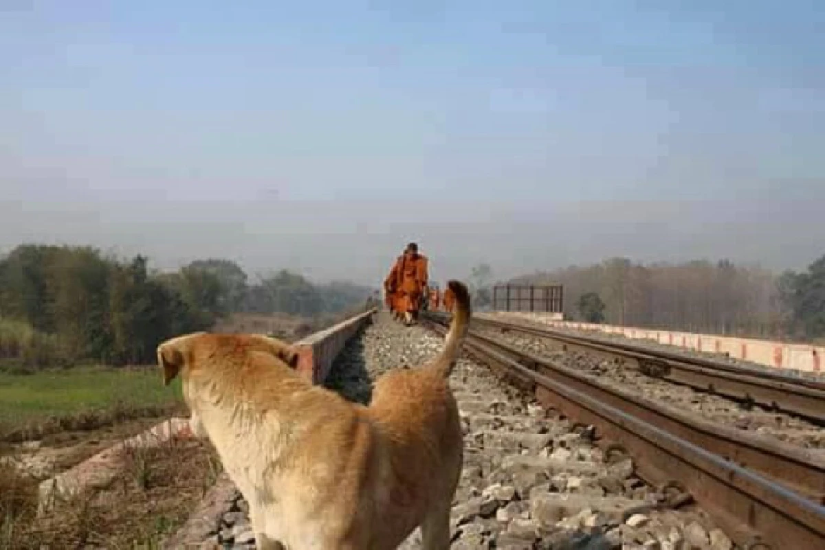 สุดซึ้ง! หมาจรจัดวิ่งตามพระธุดงค์จากอินเดีย-เนปาล 1,870 กม.