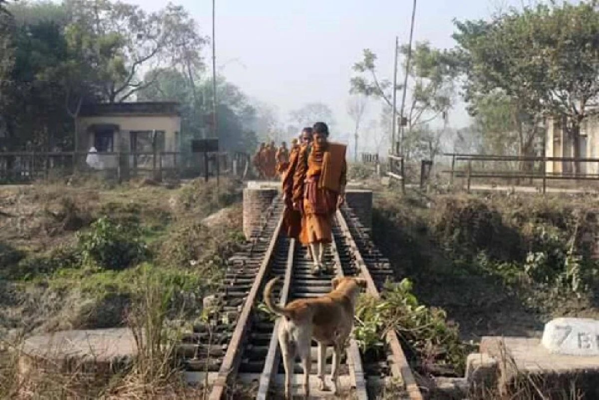 สุดซึ้ง! หมาจรจัดวิ่งตามพระธุดงค์จากอินเดีย-เนปาล 1,870 กม.