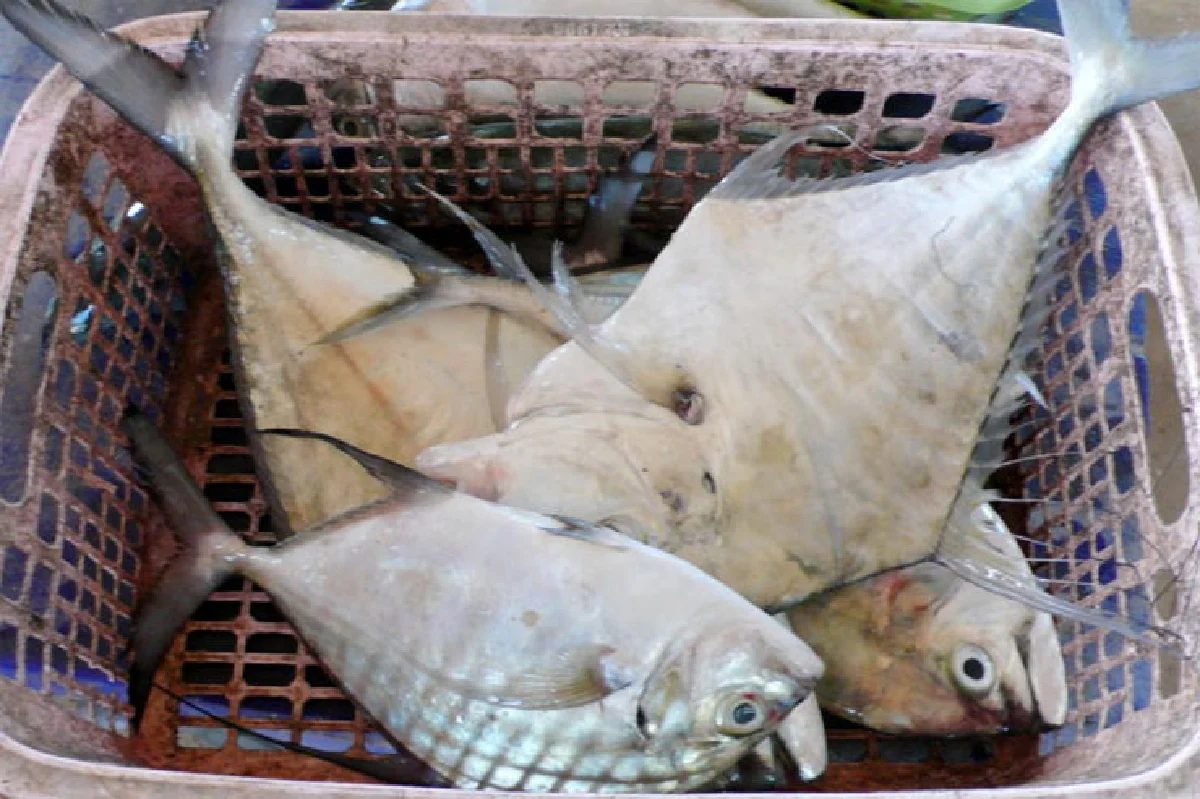 ถึงเวลาไปกินอาหารทะเล