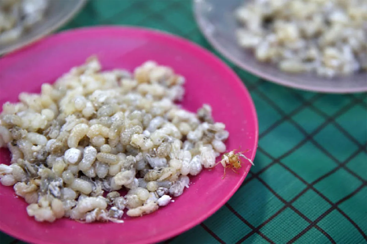 ลำปาง เริ่มต้นด้วยบริบูรณ์