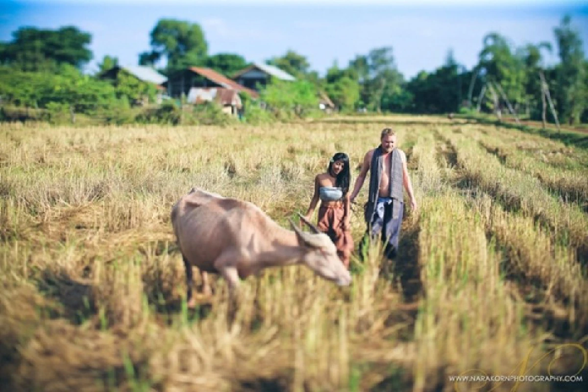 บรรเจิด!หนุ่มเดนมาร์กจูงมือสาวไทยถ่ายพรีเวดดิ้งกลางทุ่งนา