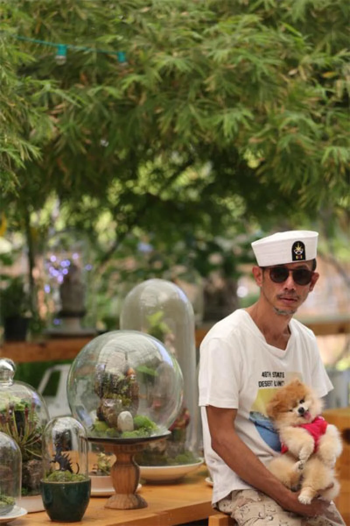 ต้นไม้ในที่ครอบแก้ว งานอดิเรกทำเงิน