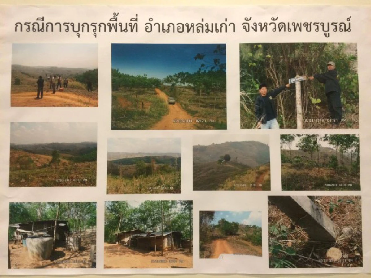 ดีเอสไอเผยดำเนินคดีผู้บุกรุกป่าสงวนเพชรบูรณ์กว่า700ไร่