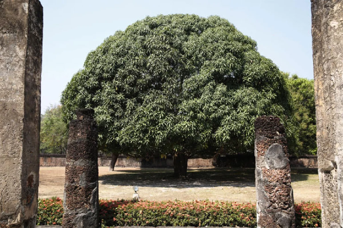 ชีวิตสุโข ณ สุโขทัย