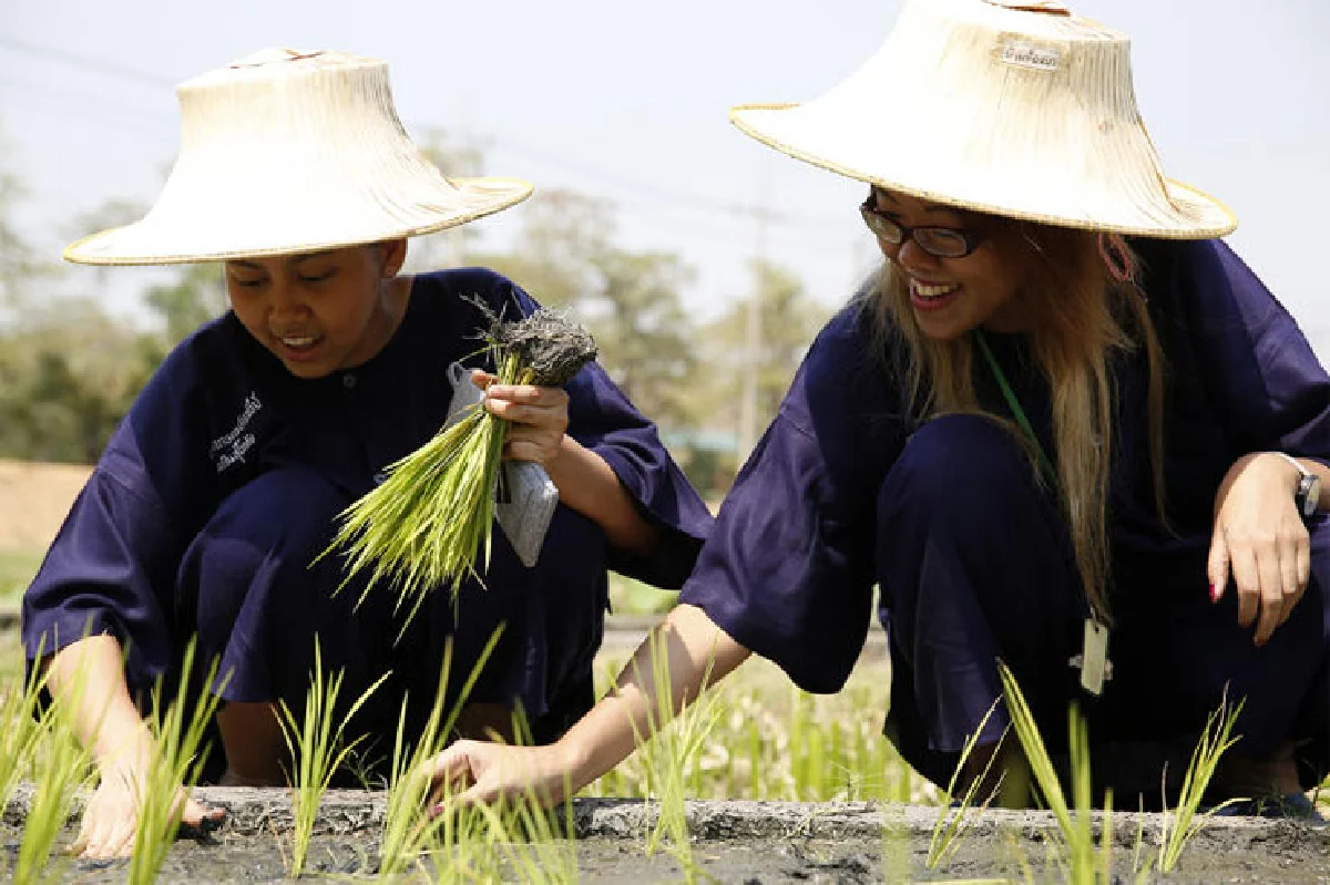 ชีวิตสุโข ณ สุโขทัย