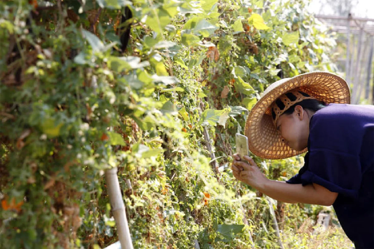 ชีวิตสุโข ณ สุโขทัย